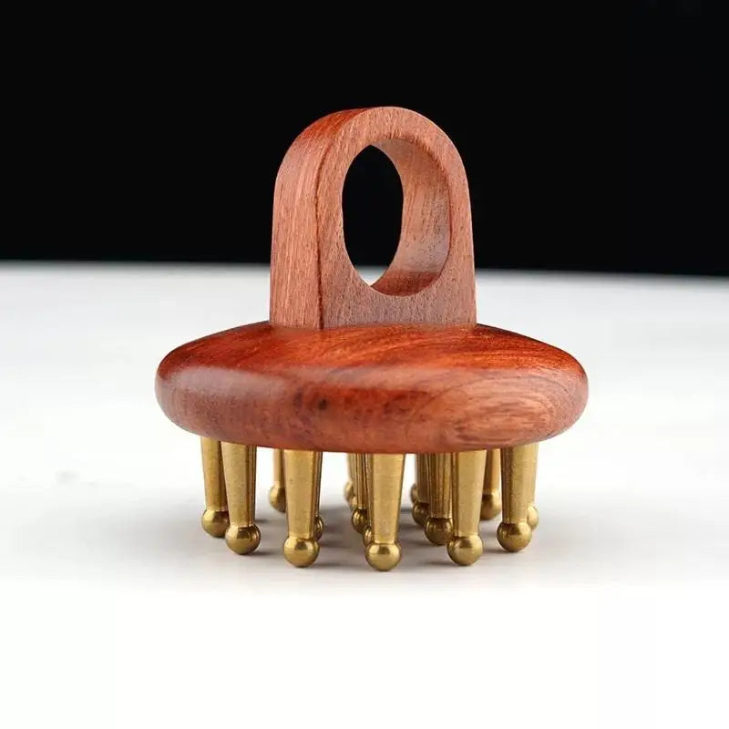 Head Meridians Massage Comb