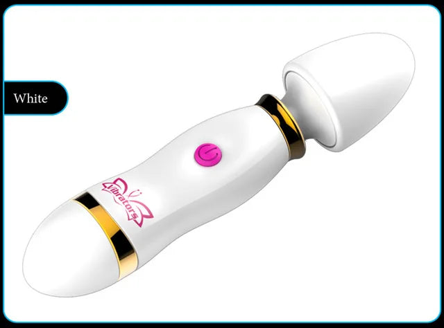 G Spot Anal Plug & Vagina Vibrator