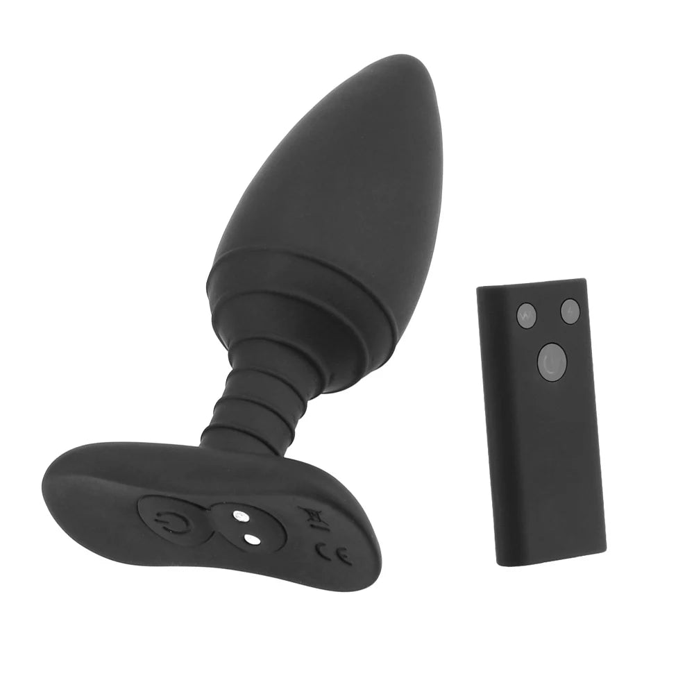 10 Frequency Wireless Plug